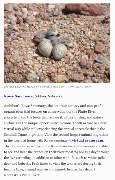 Rowe Sanctuary