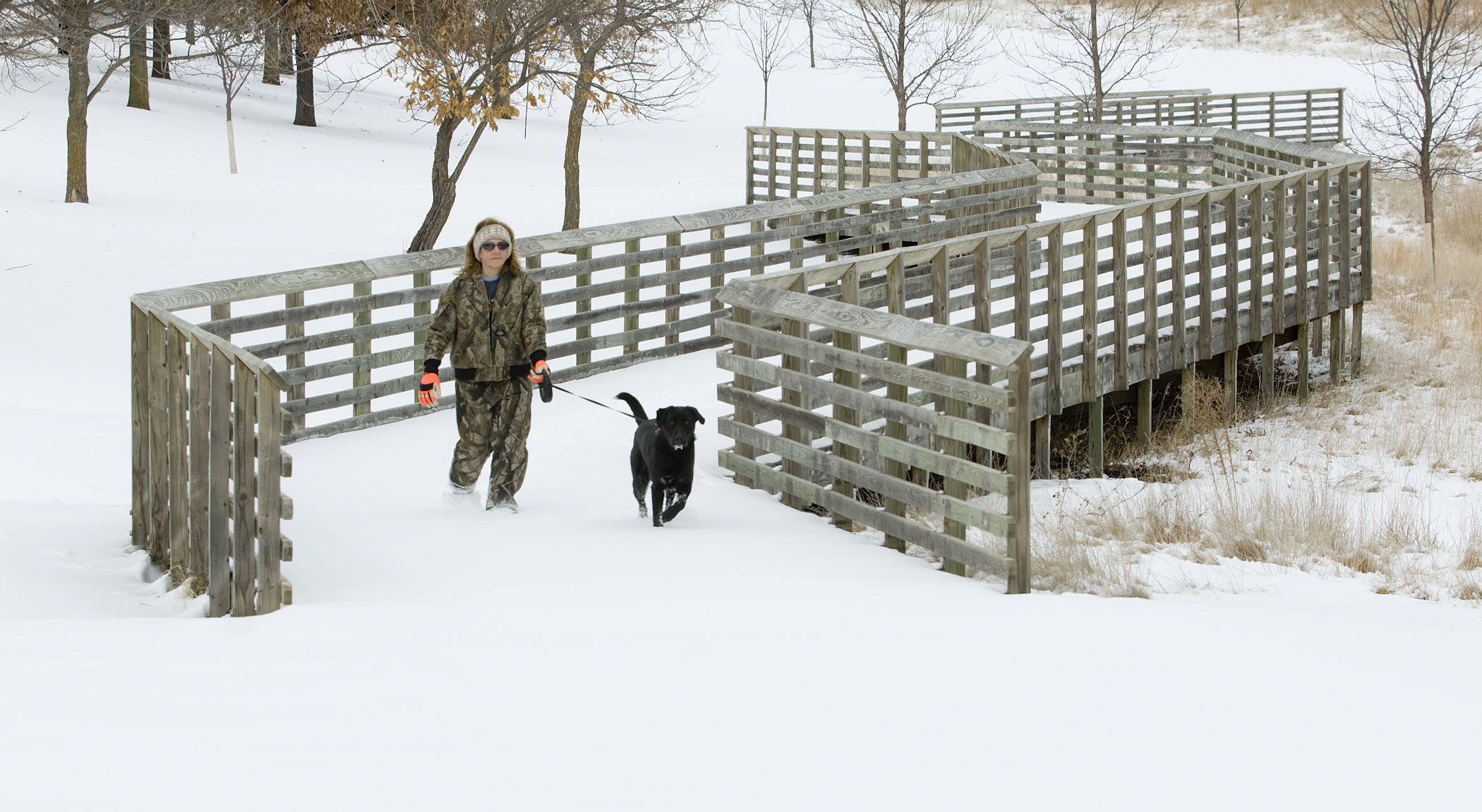 Mahoney during winter