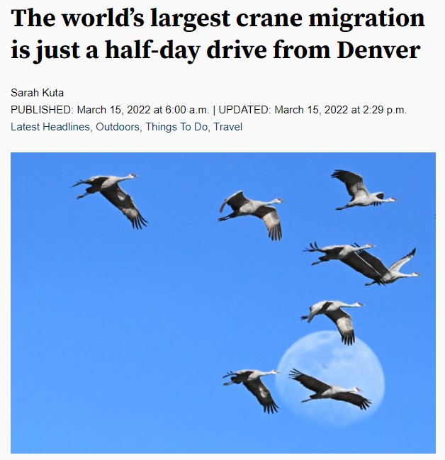 The world’s largest crane migration is just a half-day drive from Denver