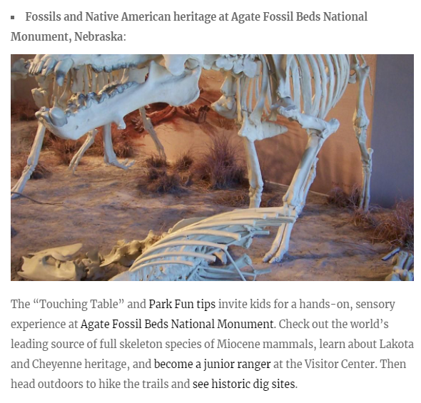 Travelers Booking Edu-Vacations: Chance for Kids to Learn Outside the Classroom