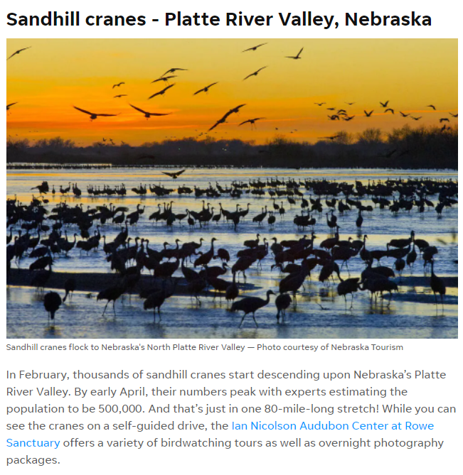 10 once-in-a-lifetime wildlife encounters that you can safely experience