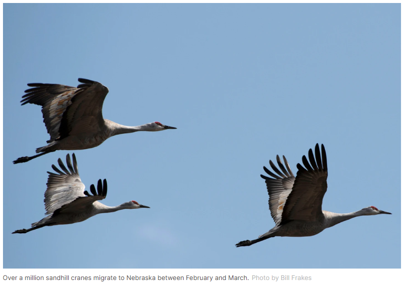 6 Outdoor Adventures for Spring Break in the United States