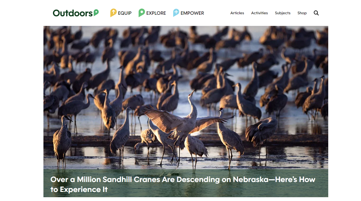 outdoors cranes