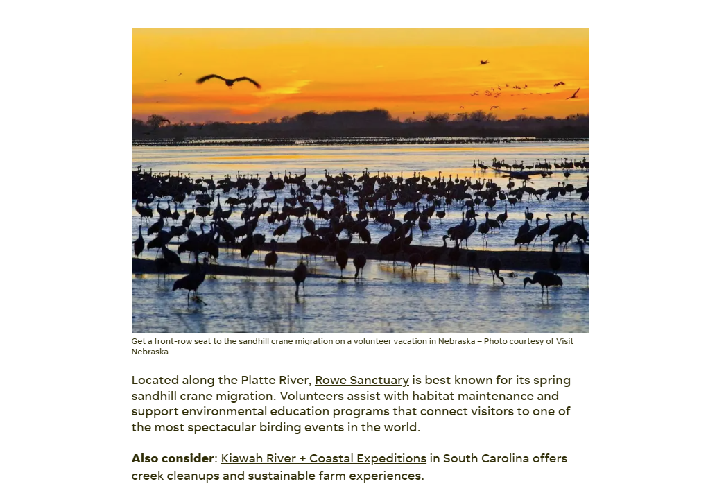 Sandhill crane migration