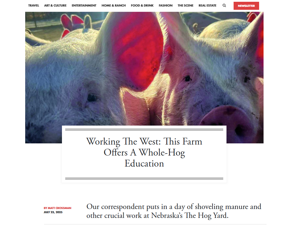 the hog yard