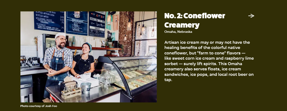 coneflower article