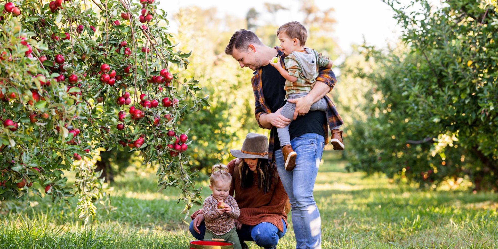 Arbor Day Farm