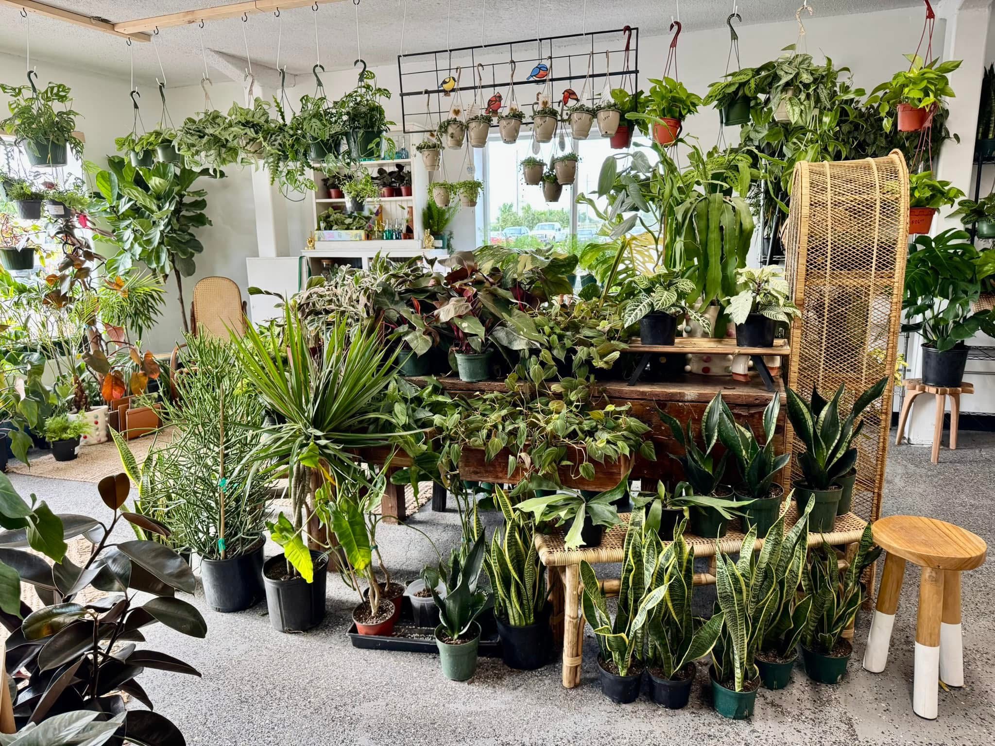 A room full of plants.