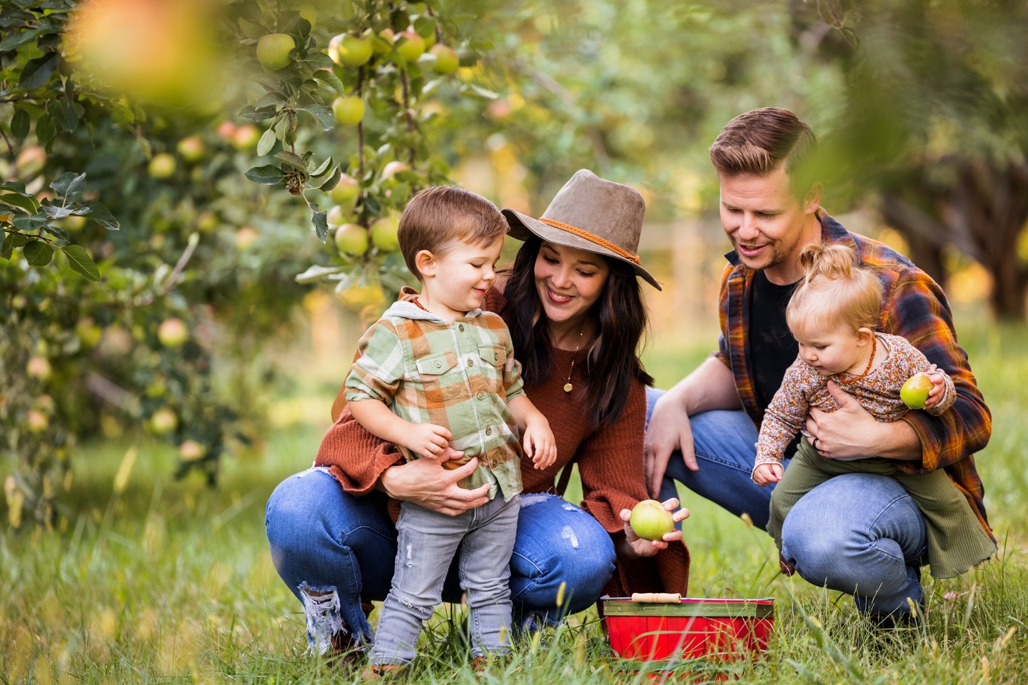 A family of four picks apples at Arbor Day Farm