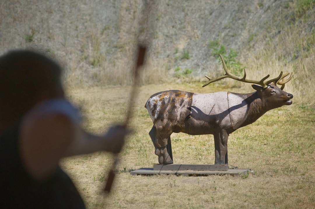 Archery