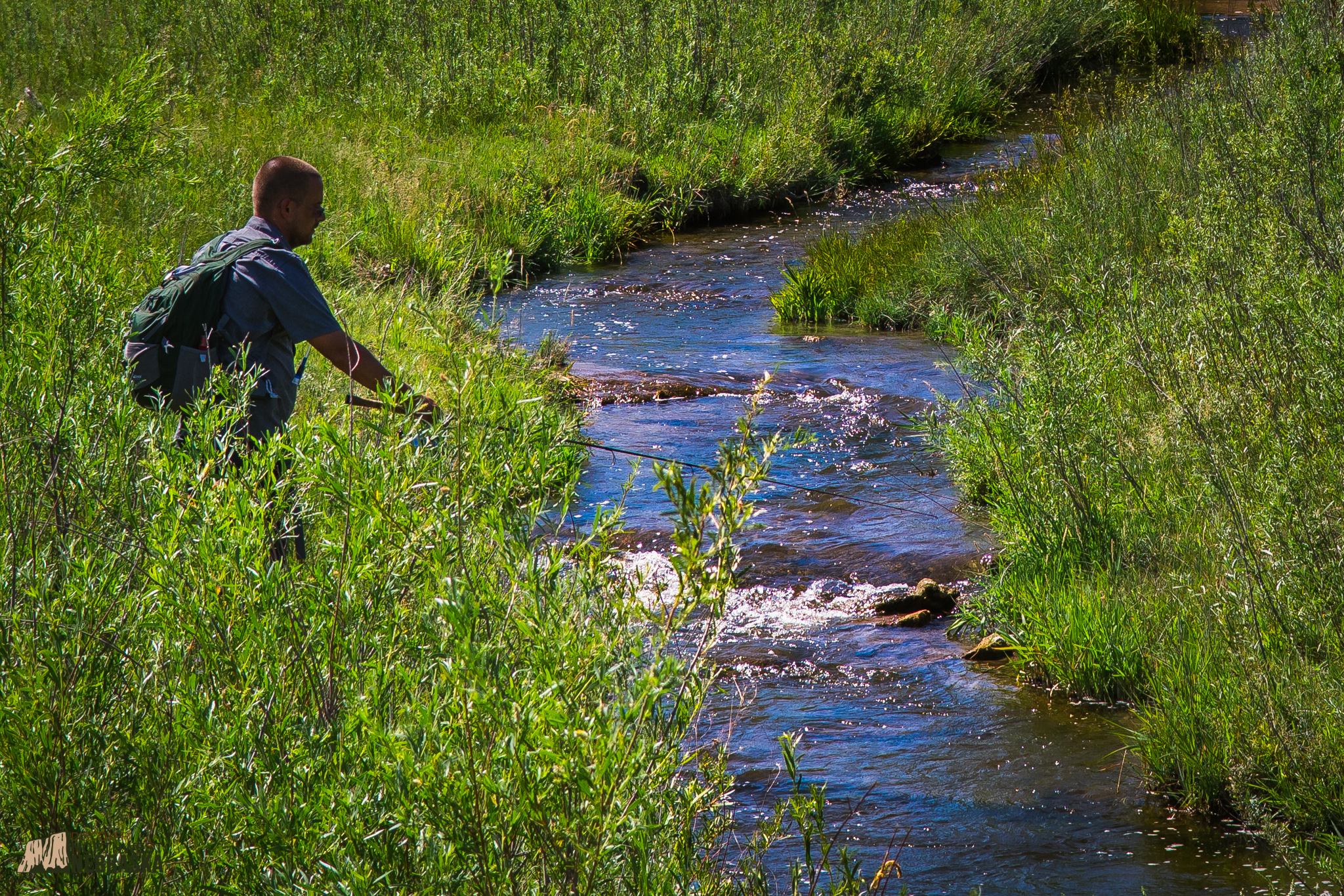 A man with a rod and reel fishing Soldier Creek surrounded by greenery.