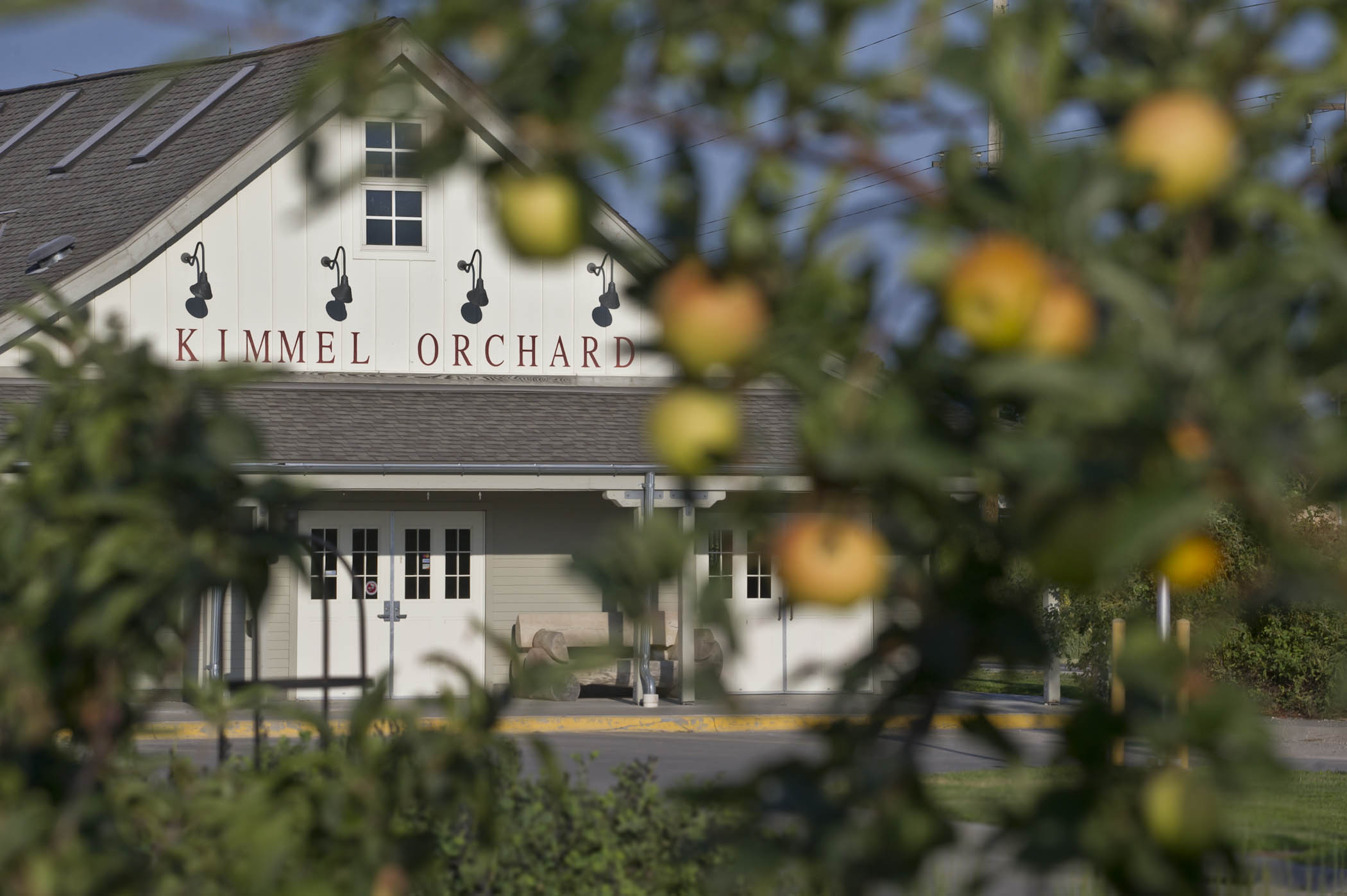 A look through the apple trees at the exterior of Kimmel Orchard & Vineyard.