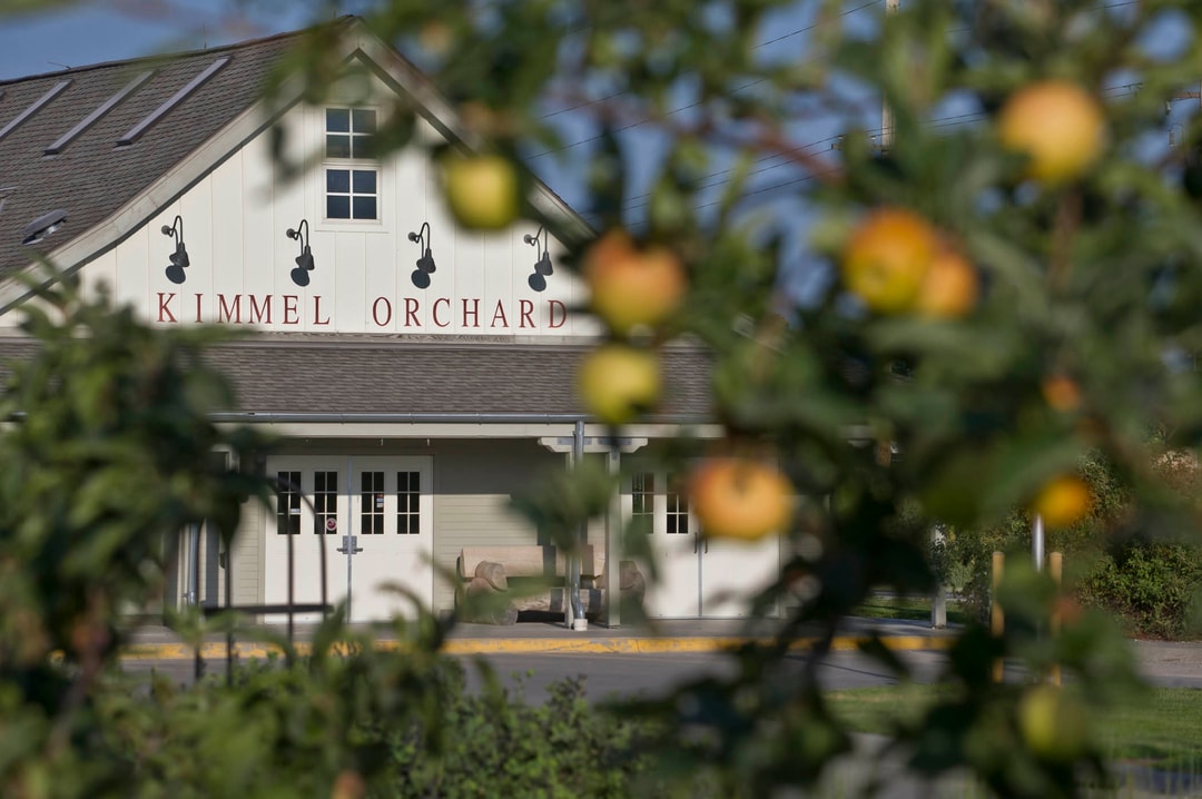 Exterior of Kimmel Orchard seen through the apple trees. 