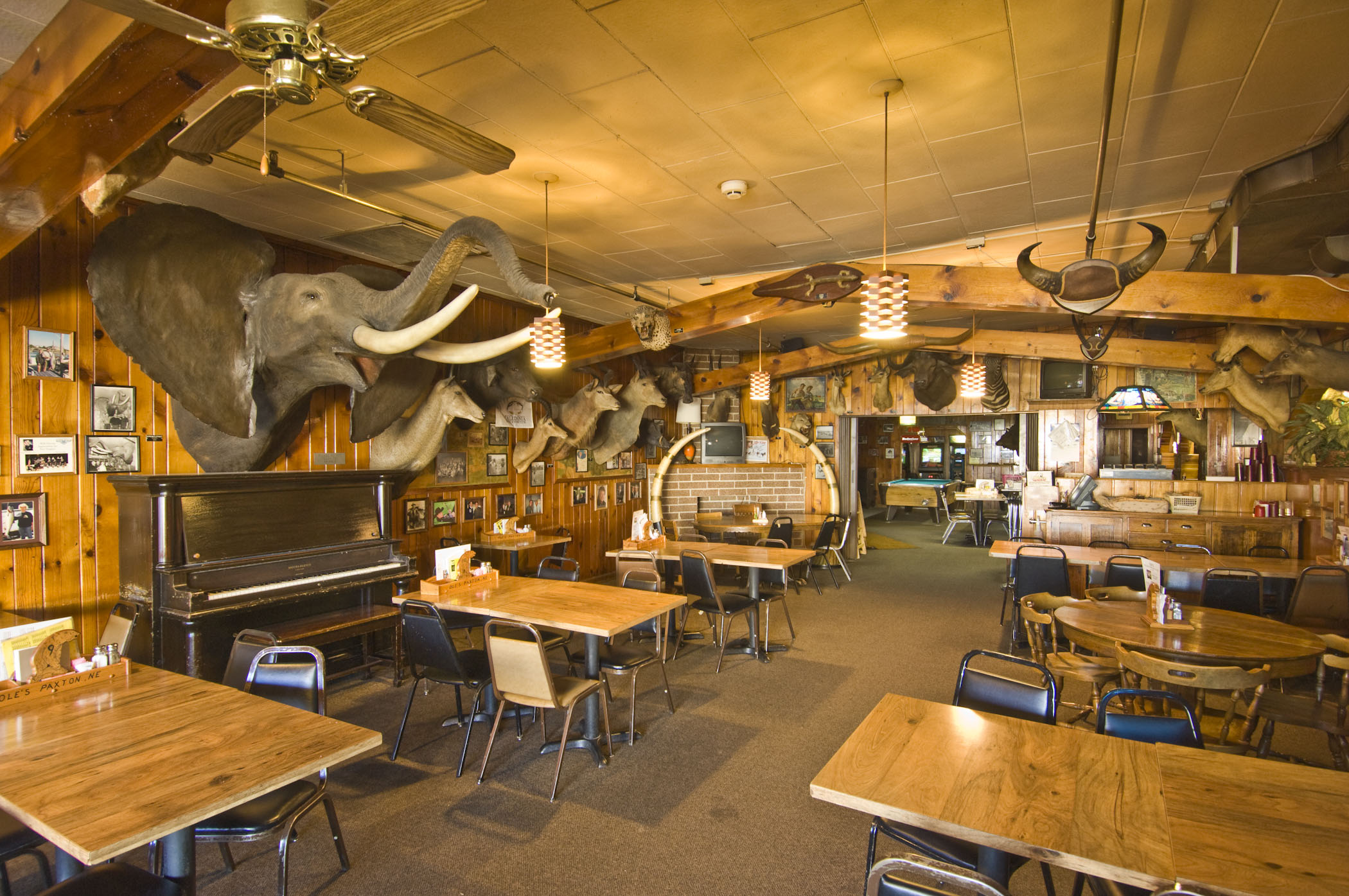Taxidermy decorating the walls at Ole's Big Game Steakhouse.