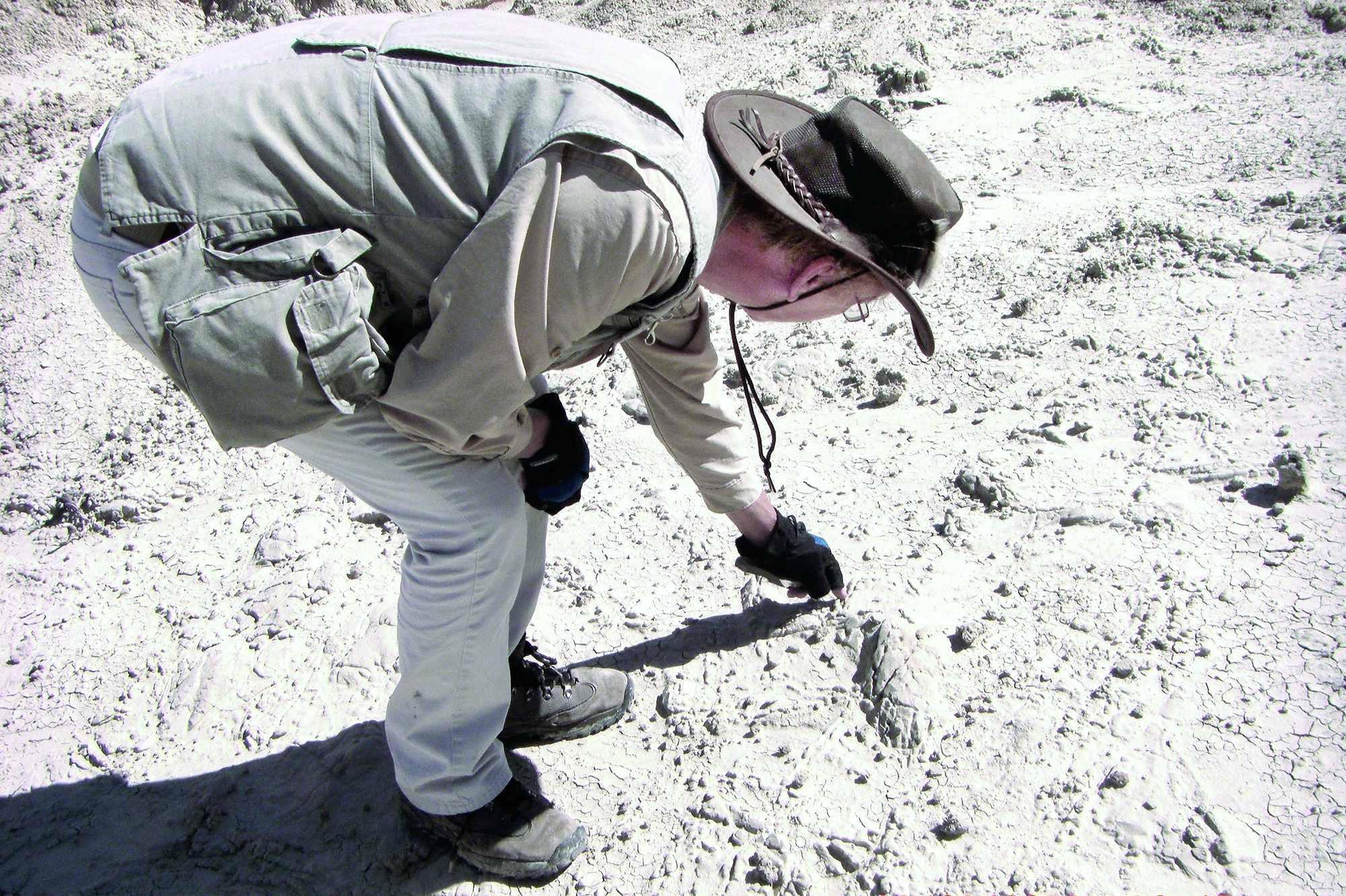 A man uncovers a fossil while fossil hunting at Our Heritage Guest Ranch.