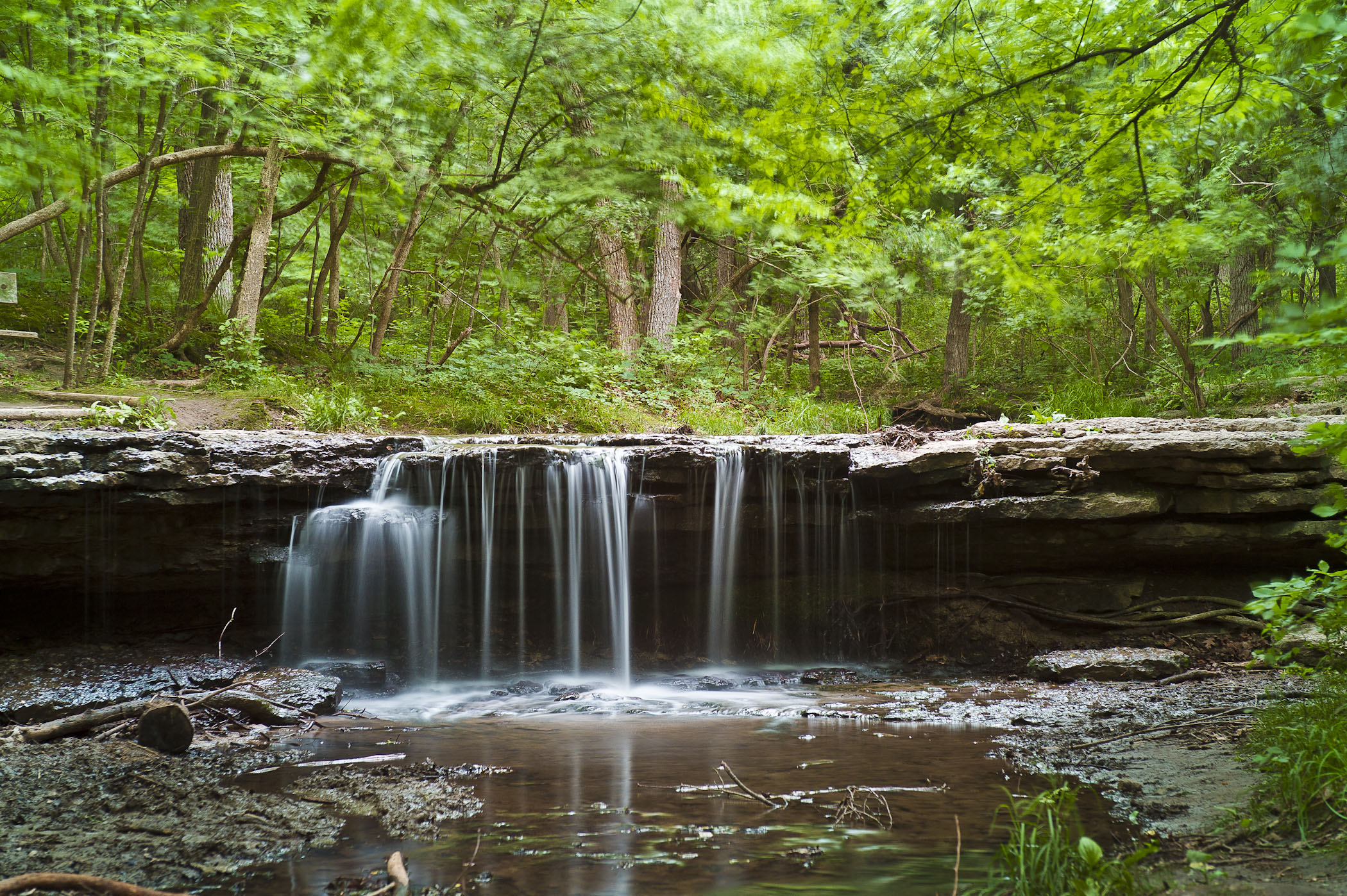 Water cascading over a water fall into a creek with green foliage in the background at Platte River State Park.