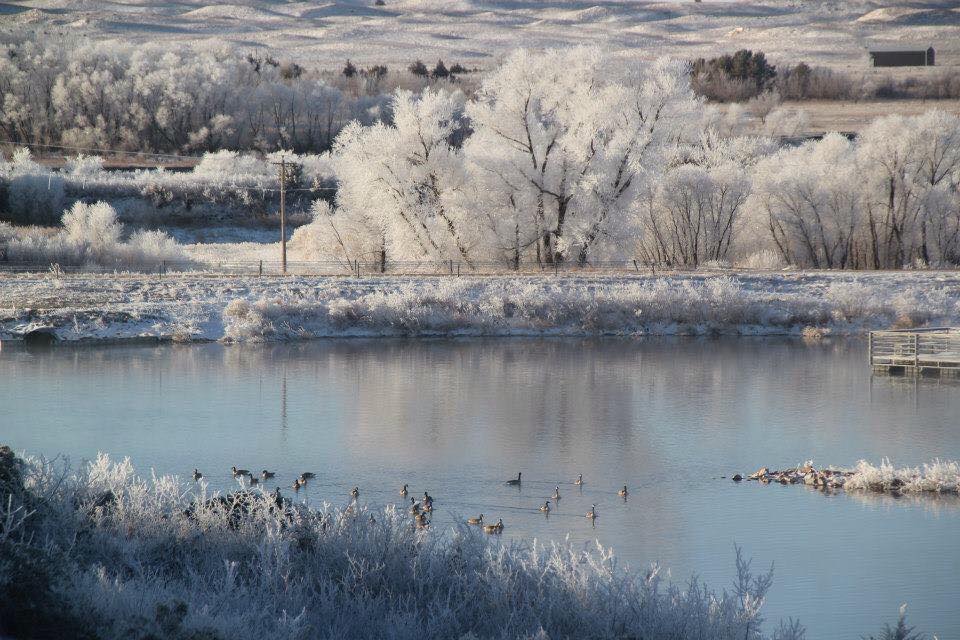 Snowy landscape view with ducks in a pond from Gracie Creek Cabin.