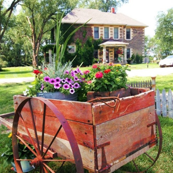 simpler thymes flower farm