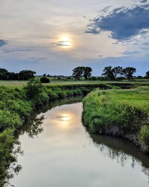 The sun reflecting off the water surrounded by greenery at Frank Shoemaker Marsh.