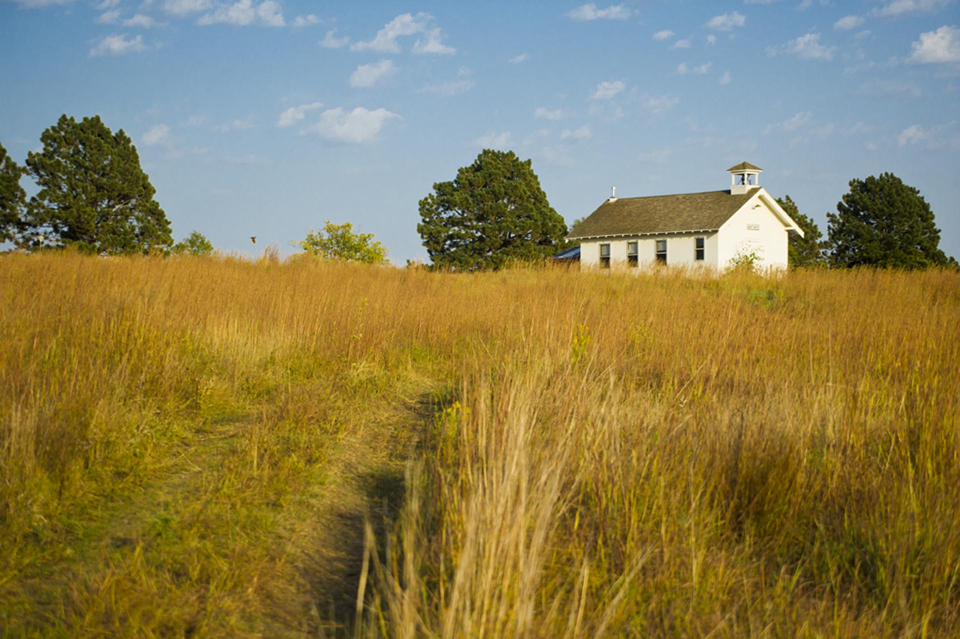 Tallgrass prairie with a small white building in the background at Pioneers Park Nature Center near Lincoln.
