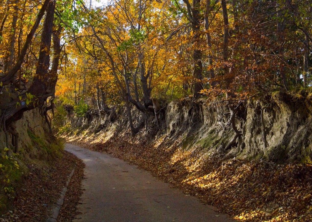 Fall in Nebraska