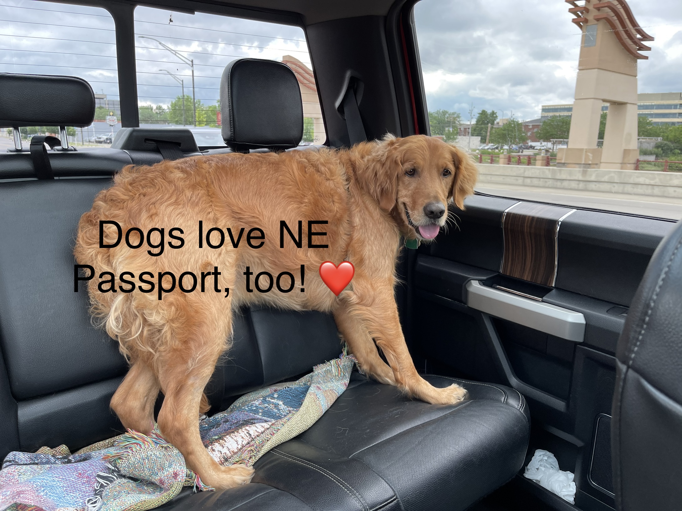 93552C92-240C-4644-B467-D1E0206507EE.jpeg