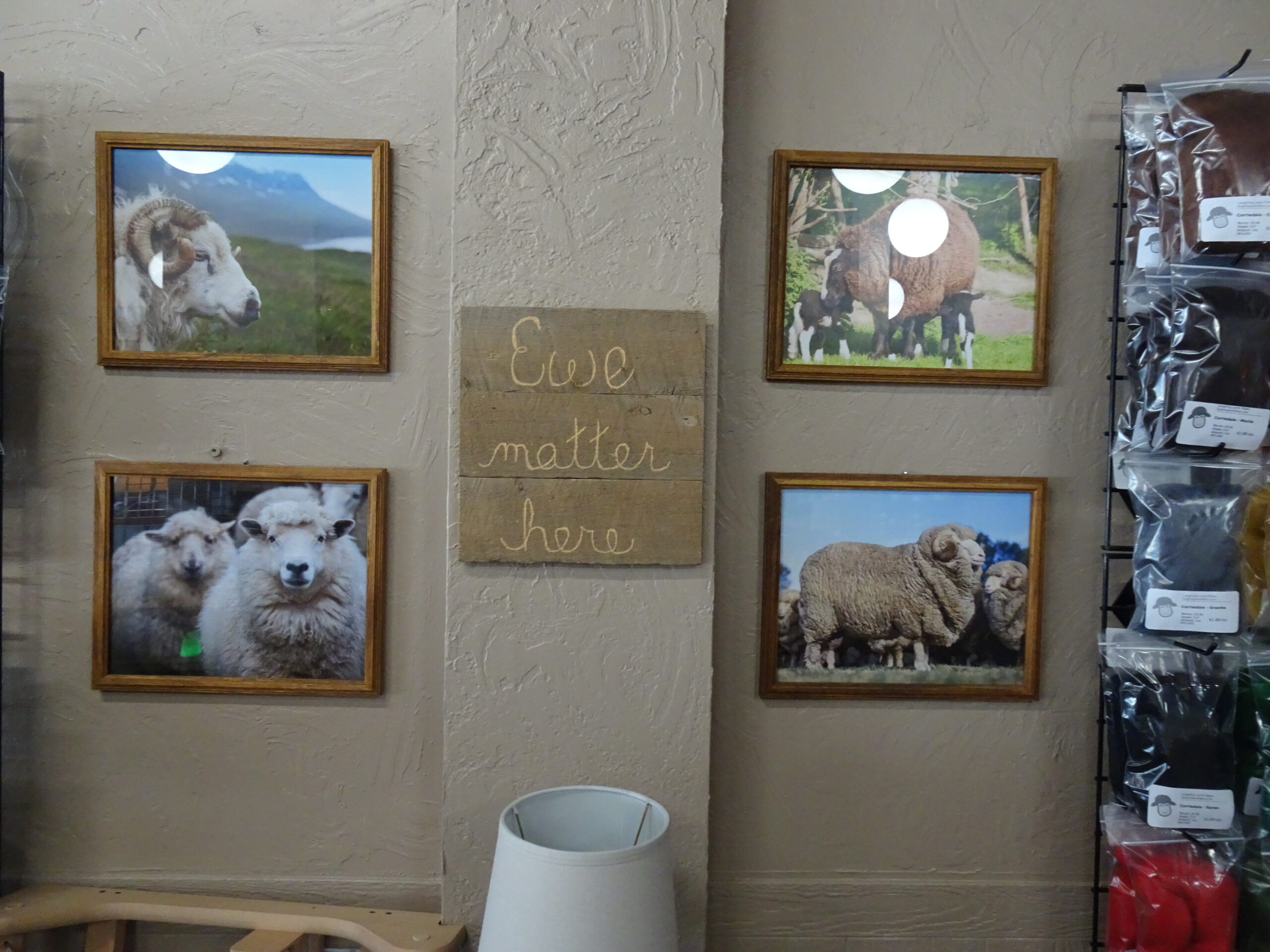 Laughing-Lamb-Fibers-scaled.jpg