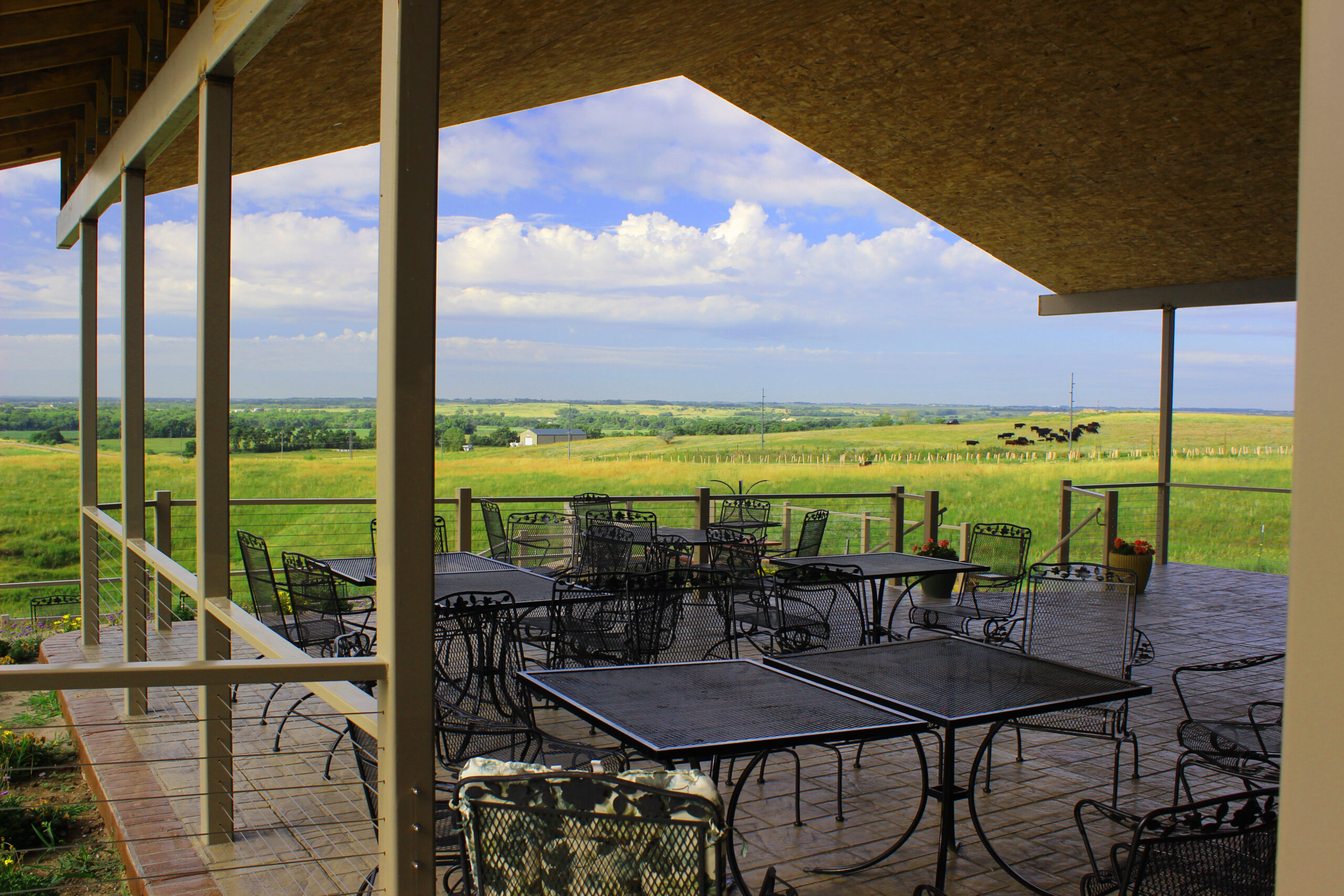 milettavistawinery-scaled.jpg