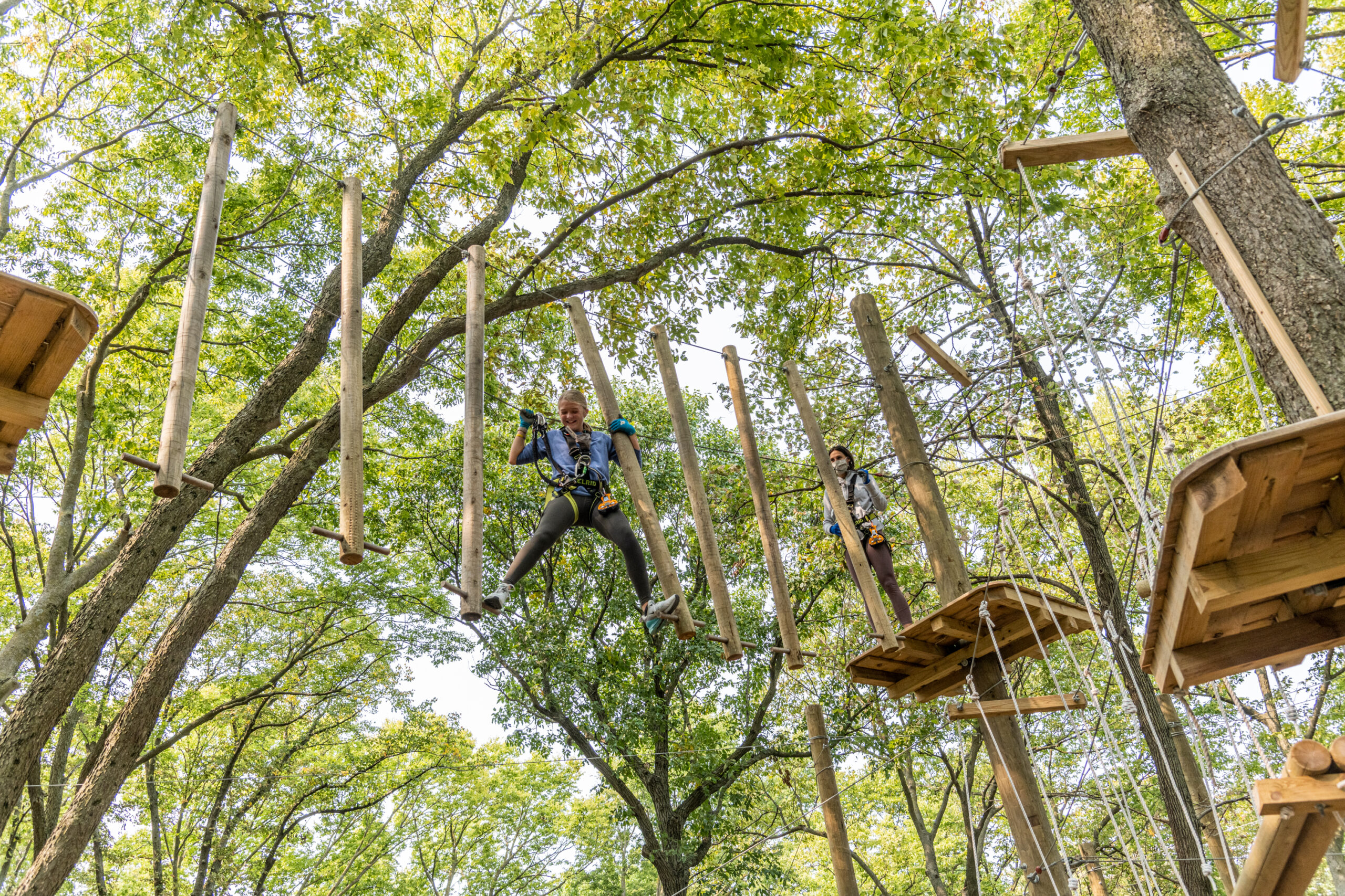 treerushadventure-scaled.jpg