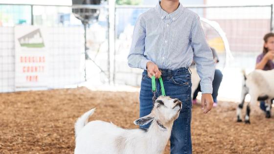 Douglas County Fair in Ralston, NE