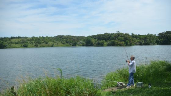 Timber Point Lake Wildlife Management Area