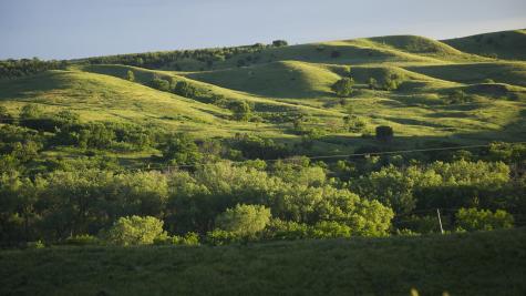 sandhills hwy