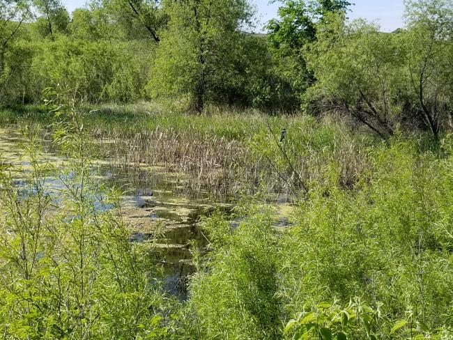 20220522_094600.jpg
